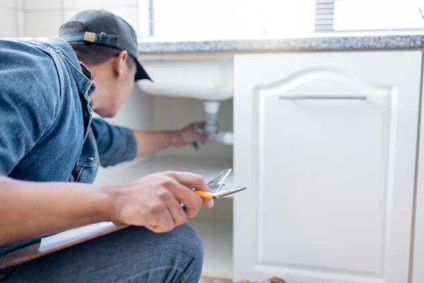 Best Clogged Drain Plumber  in Williamson, AZ